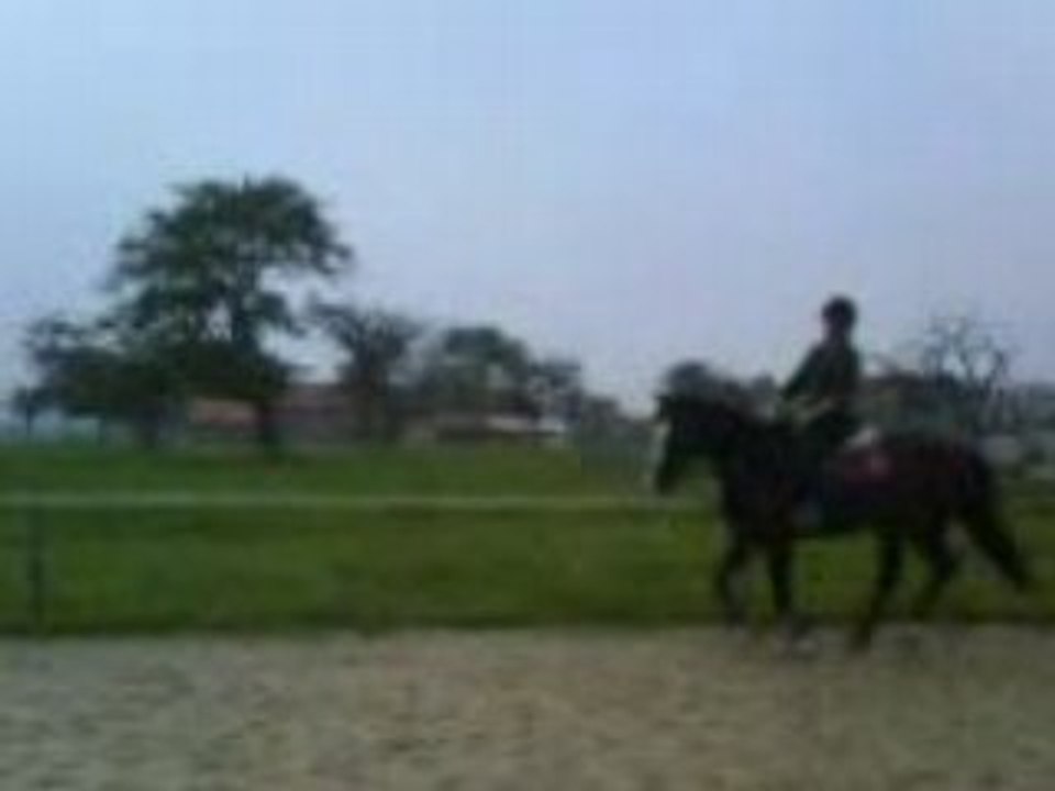Crin et Laury
