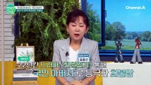 20대부터 노인 연기? 최불암 68년 연기 인생과 근황 공개
