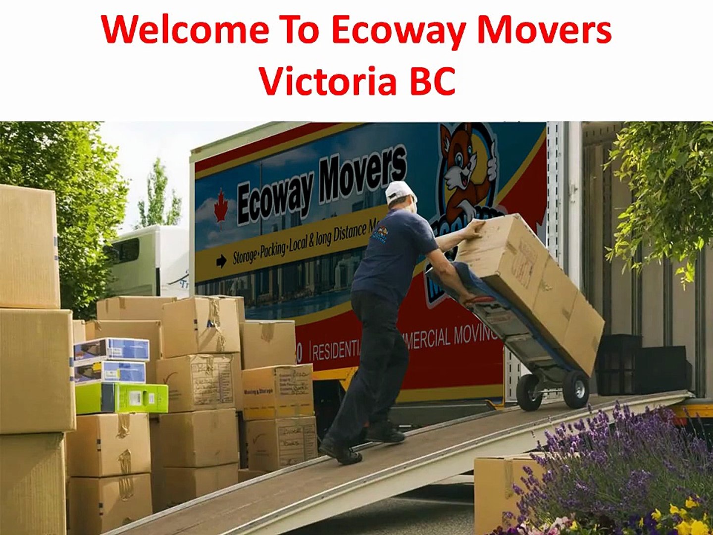 Ecoway Movers : #1 Moving Company in Victoria, BC | V8T 1E5