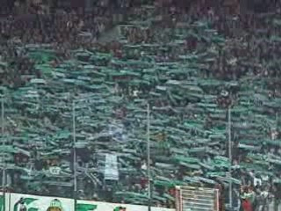 GREEN ANGELS ultras st etienne tendu d echarpe asse-om