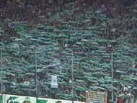 GREEN ANGELS ultras st etienne tendu d echarpe asse-om