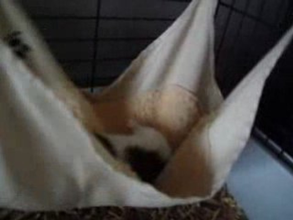 lili en foufelle