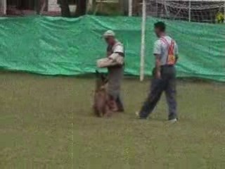 campeon colombiano rci-1 2008