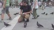 Pat Feeds the Pigeons!