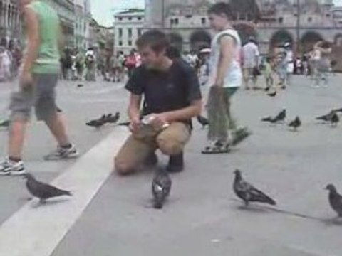 Pat Feeds the Pigeons!