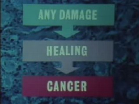 Cancer cure Vitamin B17 part 7