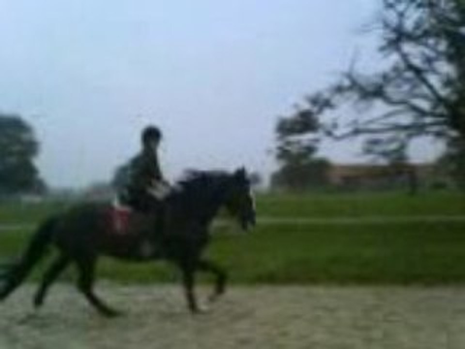 Laury et crin