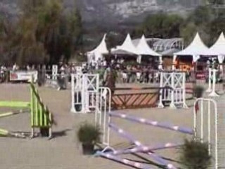 Lion Mahoud Aubagne 1