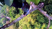 Sejuta Cerita dalam Setetes Madu
