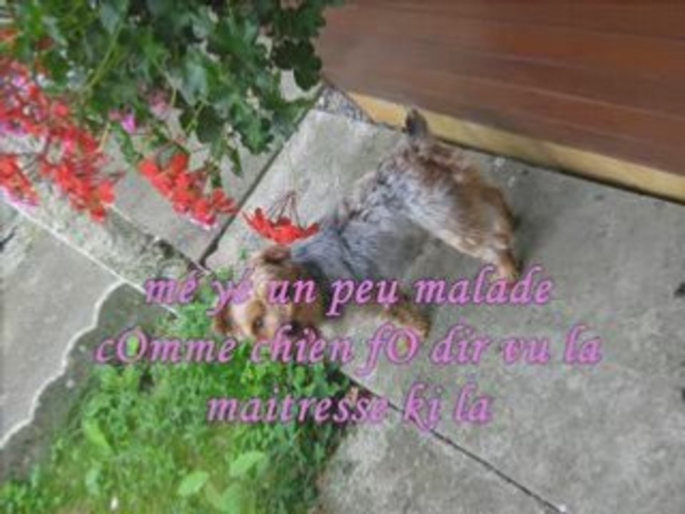 SOph é mOi