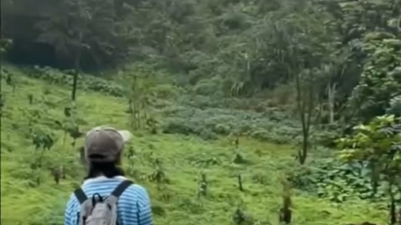 New travelling short video