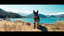 Heart Of The Beast | International Trailer
