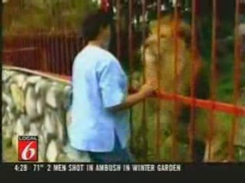 Lion kiss&hugs his savior