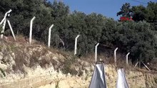 Türkiye'nin hayat kurtaran 4 ayaklı canlarını o yetiştiriyor