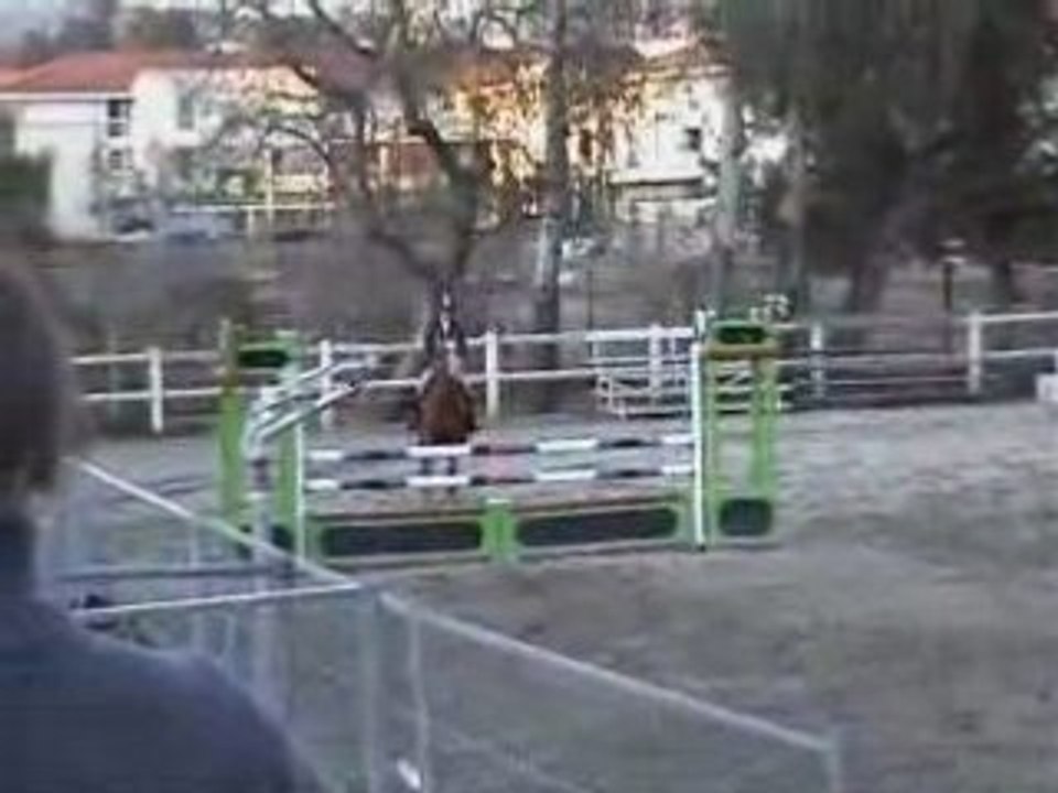 Lion Mahoud Aix-en-Provence