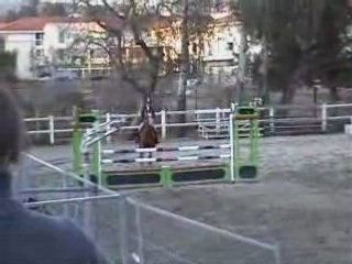 Lion Mahoud Aix-en-Provence