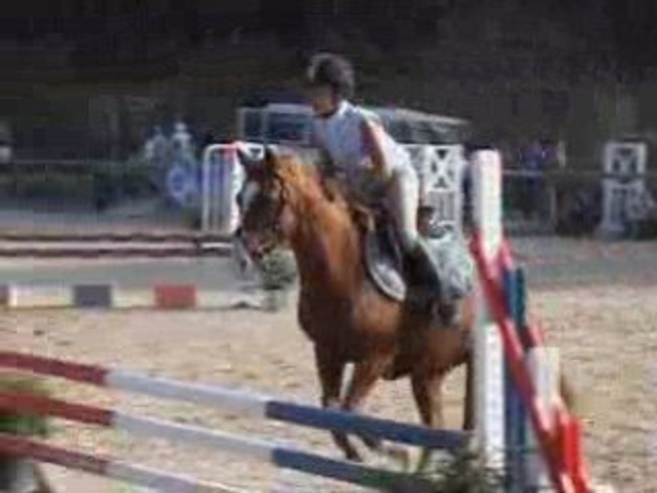 Lion Mahoud Aubagne 2