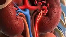 Don’t Misread Your GFR Report – Part 1 | Understand Your Kidney Function