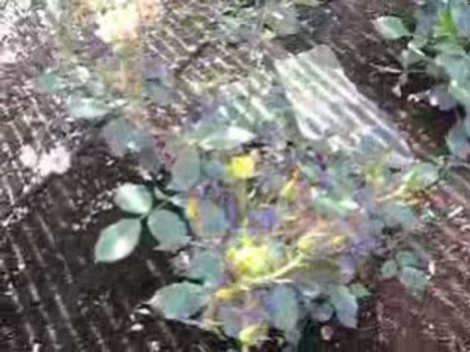 037