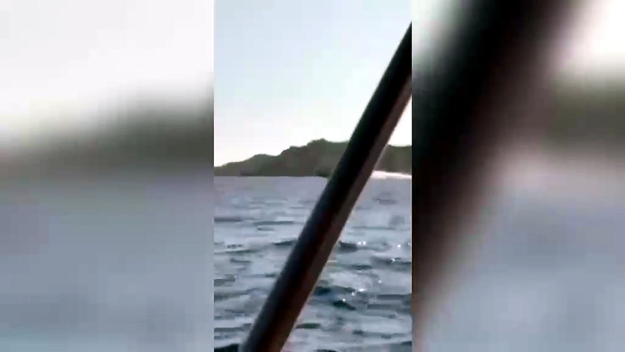 "Cafoni del mare" a tutta velocit? nelle acque dell'arcipelago di La Maddalena: violati tutti i limiti
