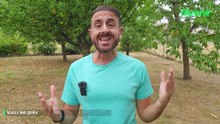 La météo de Farid du 20 août 2026