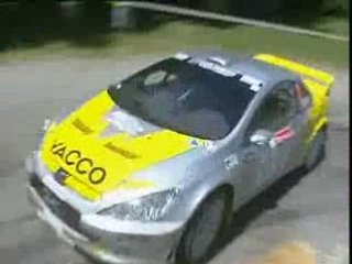 Rallye du Rouergue 2008  Part 2