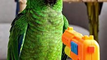 😂 Parrot's Funniest Reaction to a Toy Gun! 🦜🤣 | AI Comedy Animation