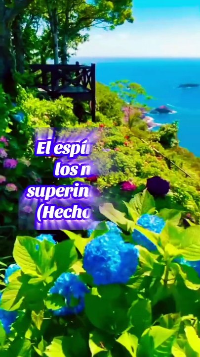 Reflexiones Bíblicas