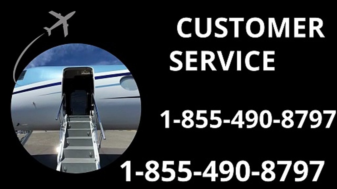 How to Contact Priceline® Customer Service Number™ | USA Help Guide