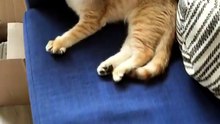 Heyy Buddy. . . 😸😸😸