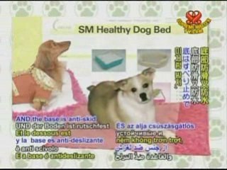 Peranakan Cooking,Part 1: Vivid Chili Paste(Rempah)