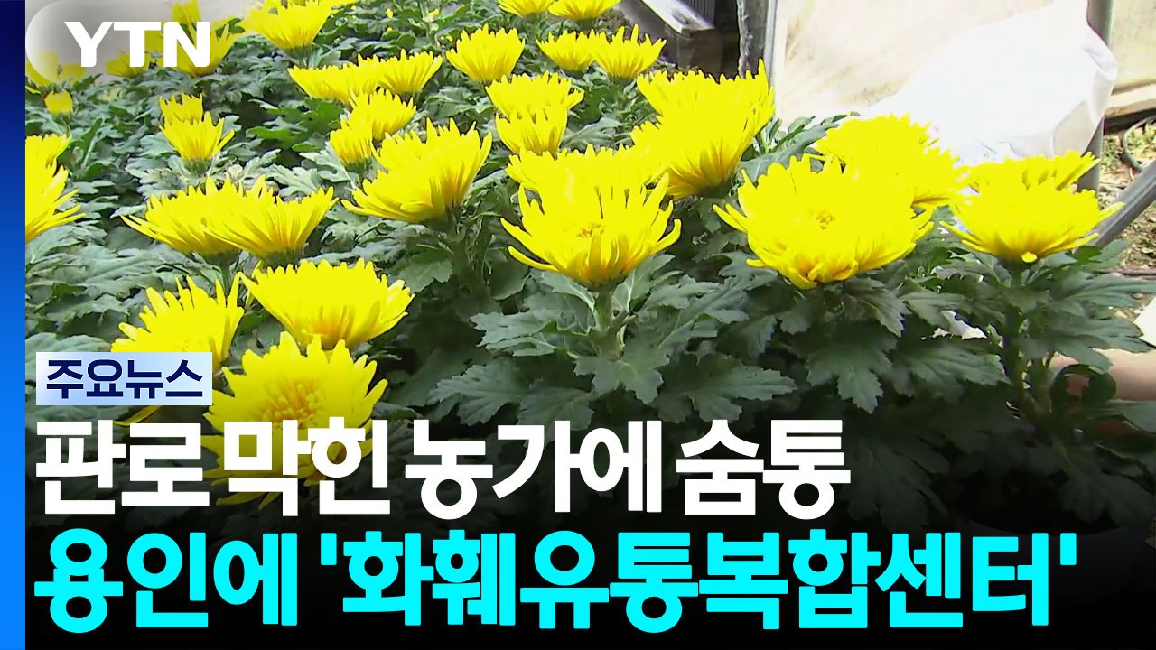 [경기] 판로 막힌 농가에 숨통...용인 '화훼유통복합센터' 짓는다 / YTN