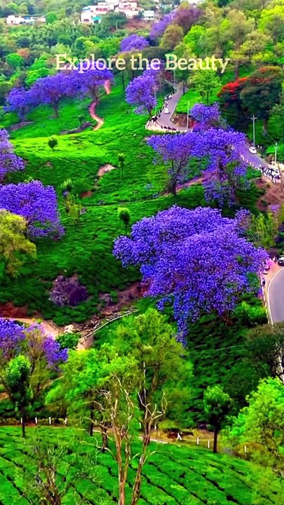 Green World | Explore the Beauty #greenworld