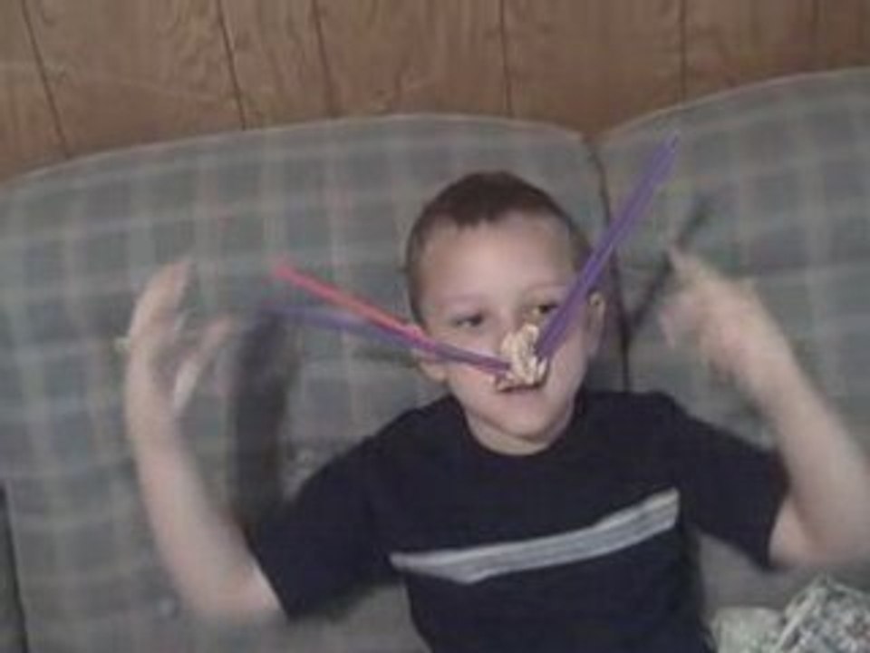 Shane the Cat