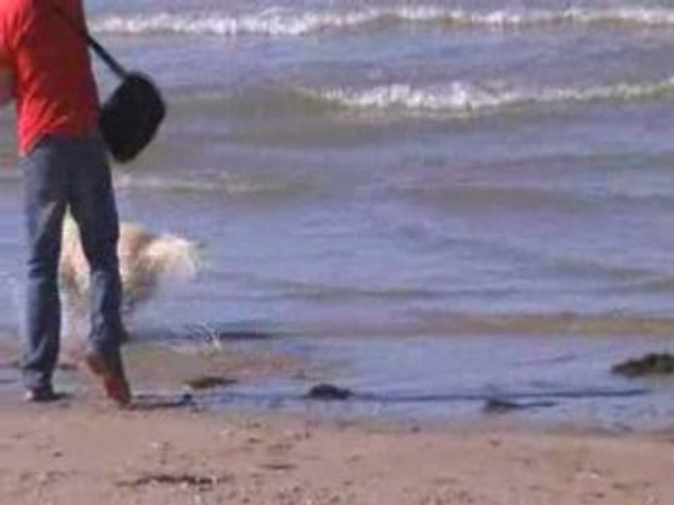 Aïvon Riva et Baya à la plage