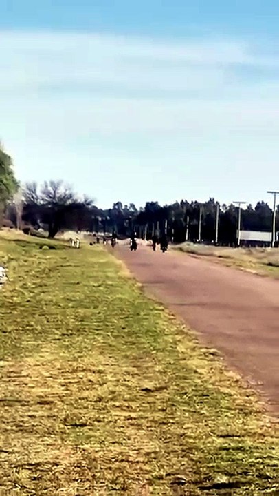 Vecinos de la zona se quejaron por los excesos...