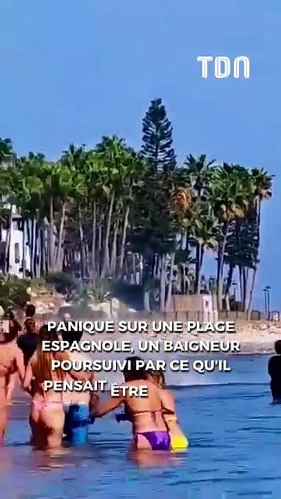 Panique sur une plage espagnole, un baigneur poursuivi par ce qu'il pensait être un requin