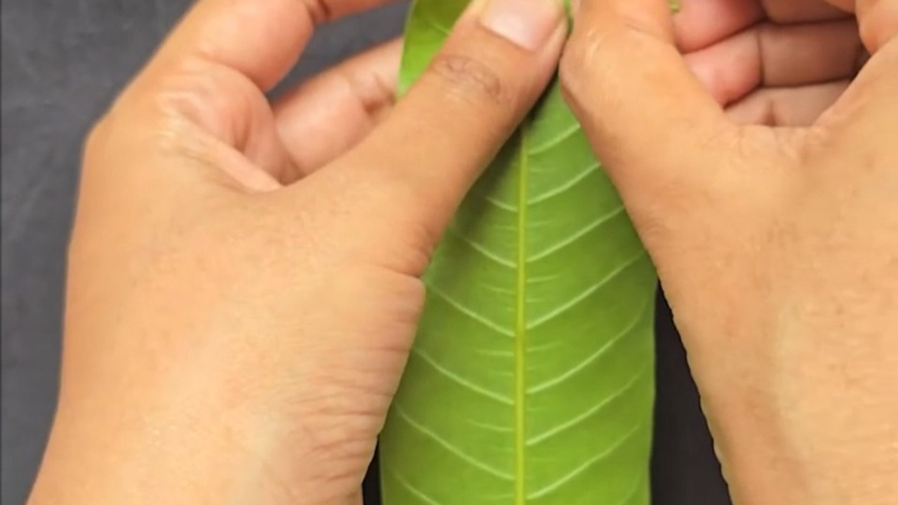 Amazing Leaf Craft! #diy