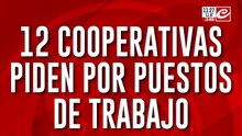 Marcha de cartoneros: 12 cooperativas piden por puestos de trabajo