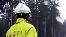Bélgica: incêndio florestal cercado mas situação continua complicada
