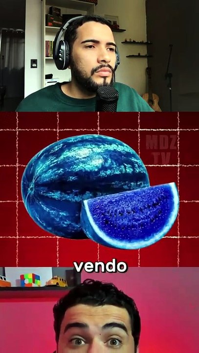QUAL COR É ESSA MELANCIA