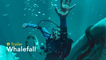 Whalefall - Trailer final español