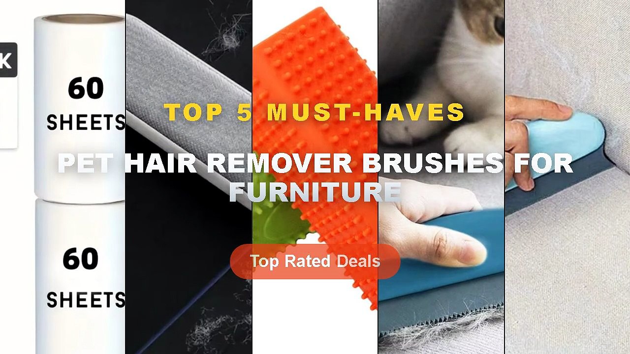 Top 5 Best Pet Hair Remover Brushes For Furnitu...