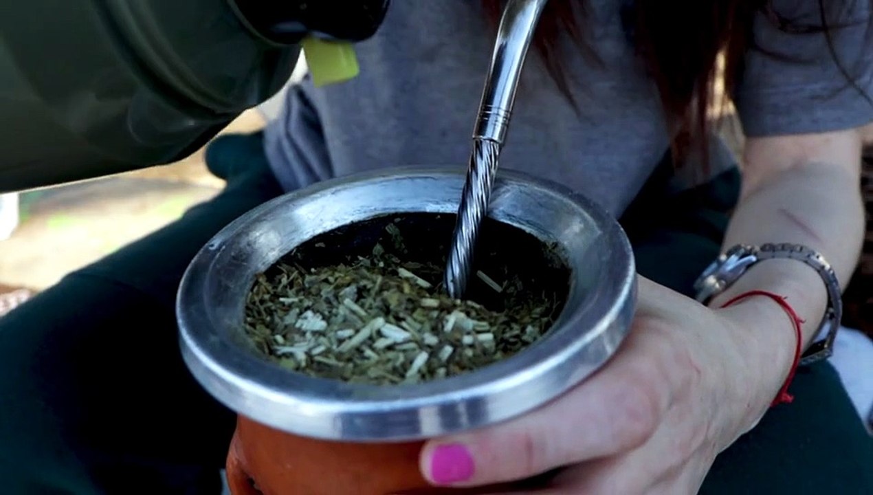 Mate video