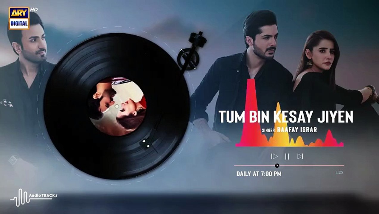 Tum Bin Kesay Jiyen - OST | Audio  | Raafay Isr...