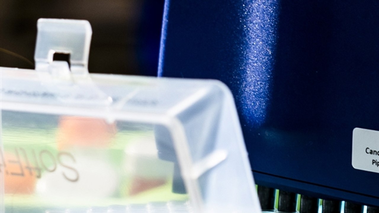 Moderna, Merck Revive mRNA Hopes With Melanoma Success