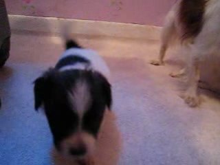 Jeux après la bouillie (1)