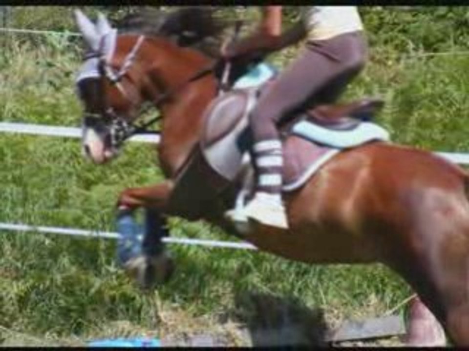 Journée au ranch_0001