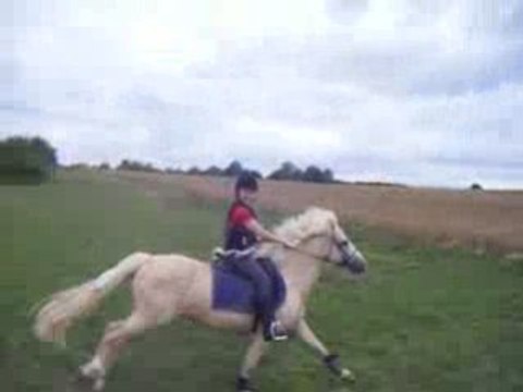 galops dans les champs