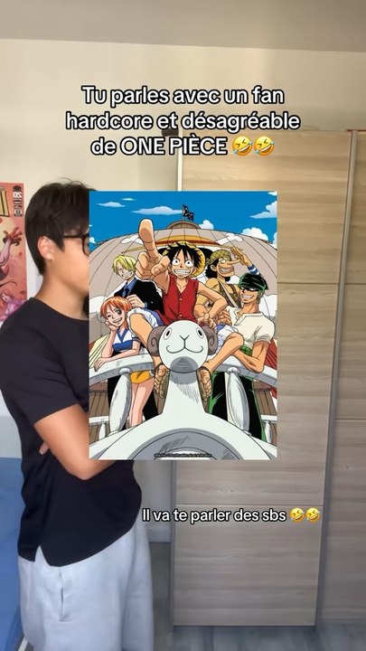 Tu parles avec un fan de ONE PIECE